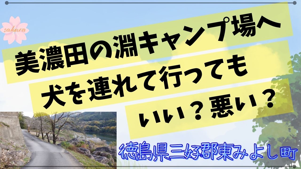 徳島県三好郡東みよし町の美濃田の淵キャンプ場へ犬を連れて行ってもいい？