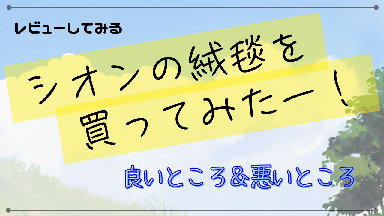 シオンの絨毯を買ってみた！良かった点＆悪かった点をレビュー！